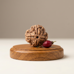 4 Mukhi Nepali Rudraksha - चार मुखी नेपाली  रुद्राक्ष