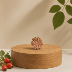 7 Mukhi Nepali Rudraksha - सातमुखी नेपाली रुद्राक्ष